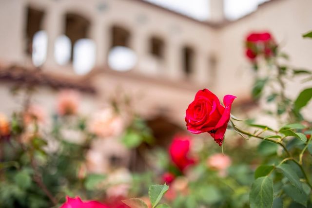 1999 Ofarrell Street, San Mateo, CA 94403