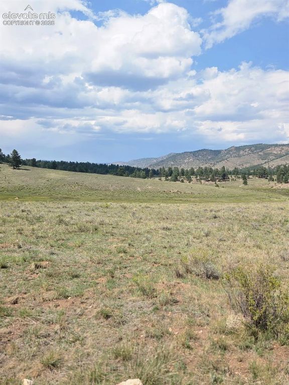 Patriot Circle, Westcliffe, CO 81252 — photo 2