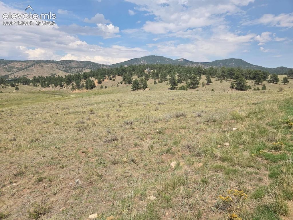 Patriot Circle, Westcliffe, CO 81252 — photo 3