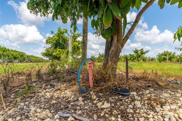 314xx SW 228th Avenue, Homestead, FL 33030