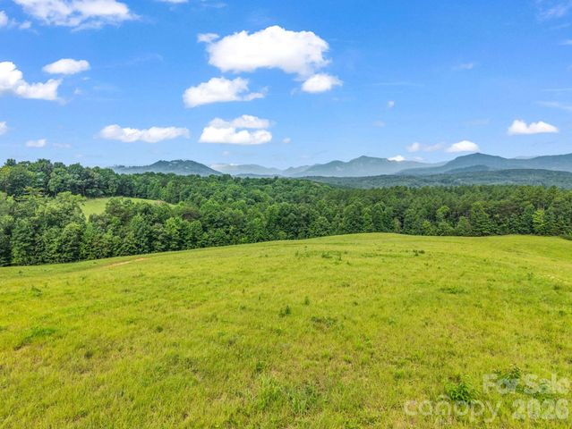 1054 Rainbow Rapids Road, Rutherfordton, NC 28139