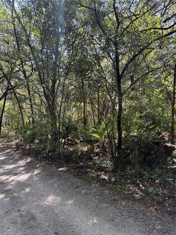 TBD SW 152ND PLACE, Dunnellon, FL 34432