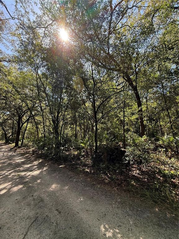 TBD SW 152ND PLACE, Dunnellon, FL 34432