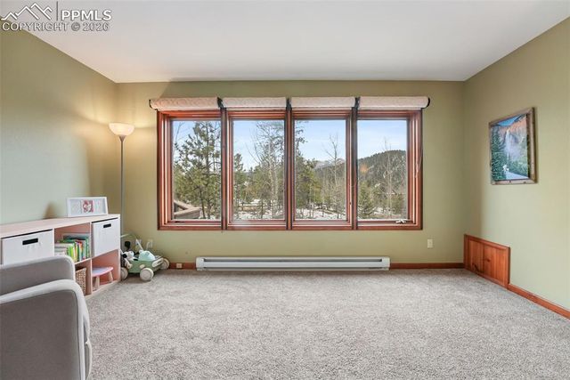 220 Morning Sun Drive, Woodland Park, CO 80863