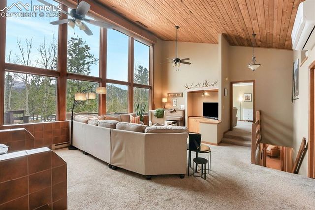 220 Morning Sun Drive, Woodland Park, CO 80863