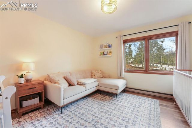 220 Morning Sun Drive, Woodland Park, CO 80863