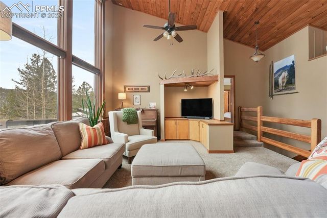 220 Morning Sun Drive, Woodland Park, CO 80863