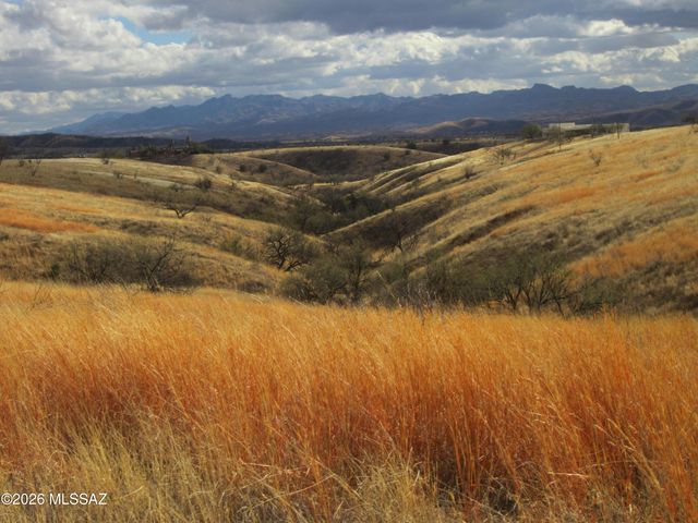 3 Baca Court, Patagonia, AZ 85624