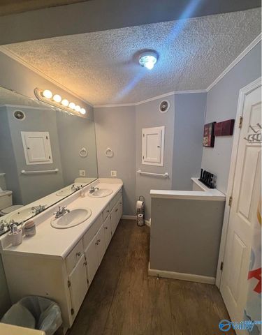 2845 E Upper River Road, Somerville, AL 35670