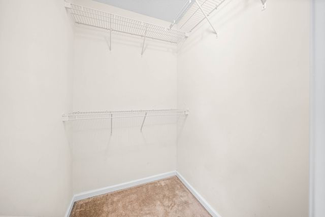 119 Alexander Blvd, Clarksville, TN 37040