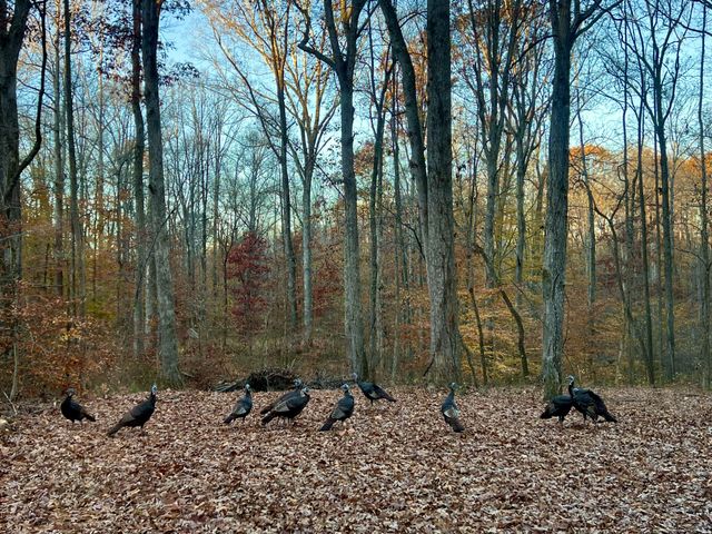 1220 Bald Eagle Dr & 1222 Bald Eagle Dr, Kingston Springs, TN 37082