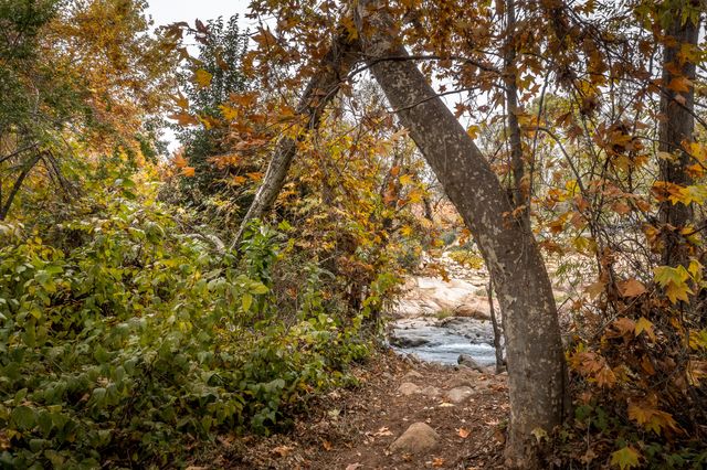 40954 Cherokee Oaks Drive, Three Rivers, CA 93271