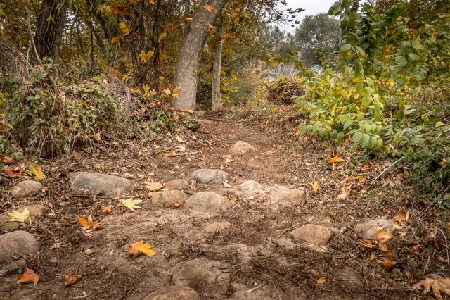 40954 Cherokee Oaks Drive, Three Rivers, CA 93271