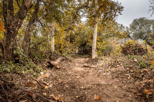 40954 Cherokee Oaks Drive, Three Rivers, CA 93271