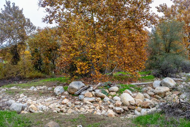 40954 Cherokee Oaks Drive, Three Rivers, CA 93271