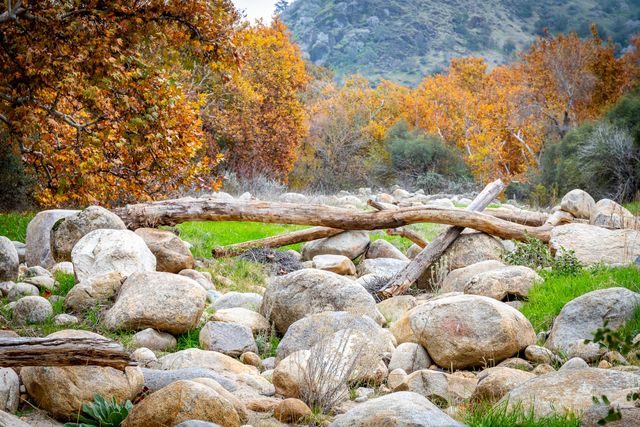 40954 Cherokee Oaks Drive, Three Rivers, CA 93271