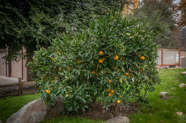 40954 Cherokee Oaks Drive, Three Rivers, CA 93271