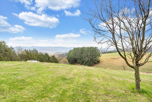 1905 Mount Joy RD, Buchanan, VA 24066