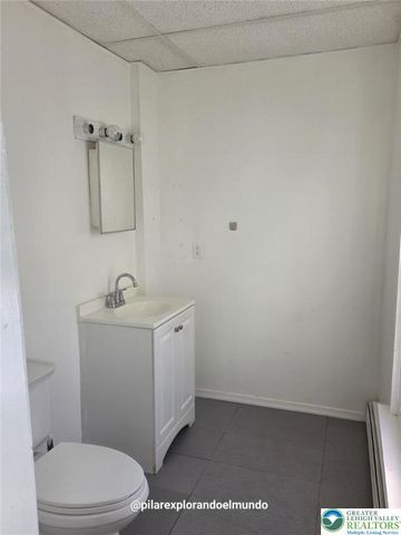 432 Chestnut Street, Allentown City, PA 18102