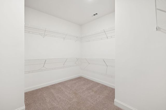 126 Emeline Way, Mount Juliet, TN 37122