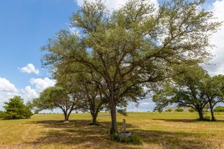 1021 E Old Hallettsville RD, Flatonia, TX 78941