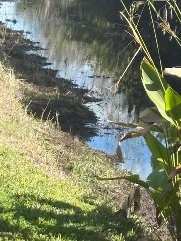 1848 Via Castello, Wellington, FL 33411