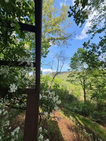 45 Black Bear Trace, Murphy, NC 28906