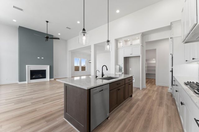 16251 Summer Aster Trail, Hockley, TX 77447