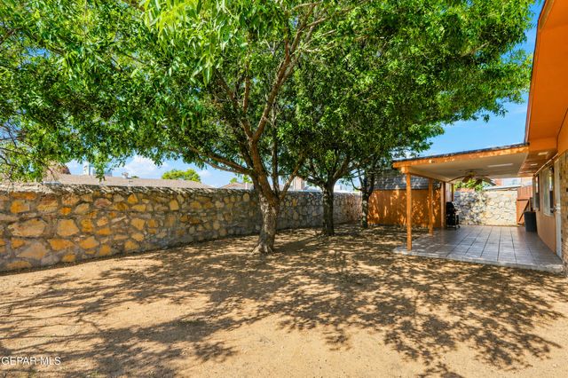 11160 WHARF COVE Drive, El Paso, TX 79936