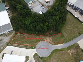 250 APPLEGATE TRACE, Pelham, AL 35124