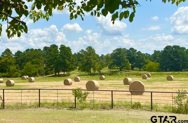 2421 W FM 1280, Lovelady, TX 75851