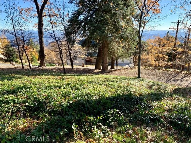 40 Park, Running Springs, CA 92382