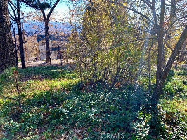 40 Park, Running Springs, CA 92382