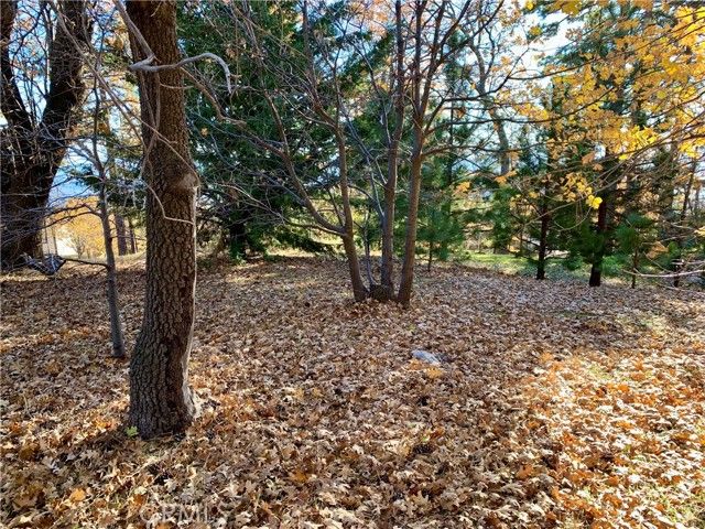 40 Park, Running Springs, CA 92382