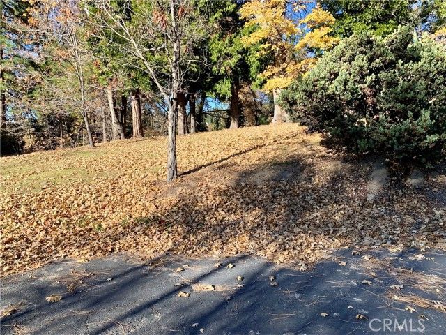 40 Park, Running Springs, CA 92382