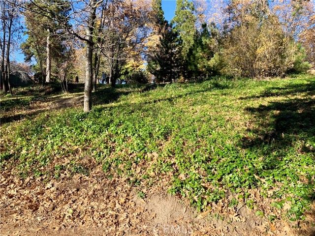 40 Park, Running Springs, CA 92382