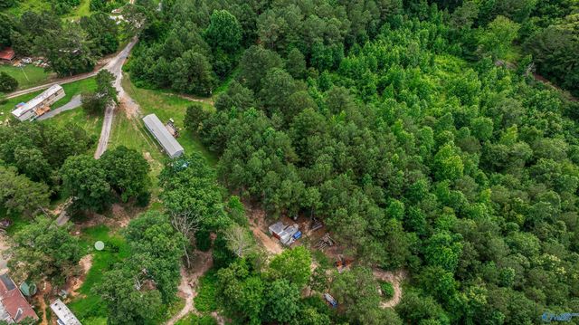 145 County Road 790, Gaylesville, AL 35973