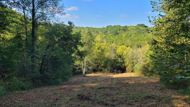 48 Hannah Br Rd, Petersburg, TN 37144