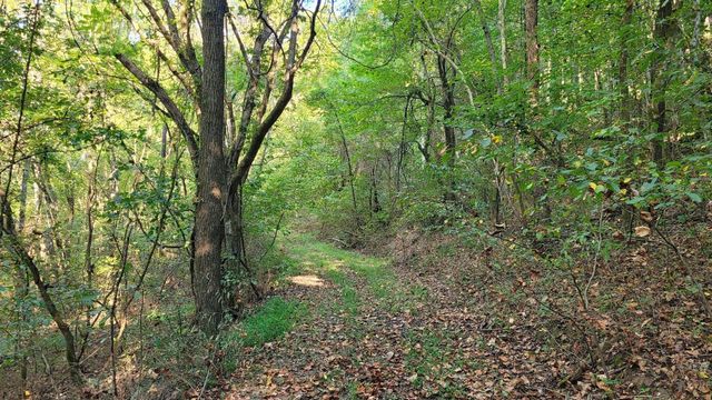 48 Hannah Br Rd, Petersburg, TN 37144