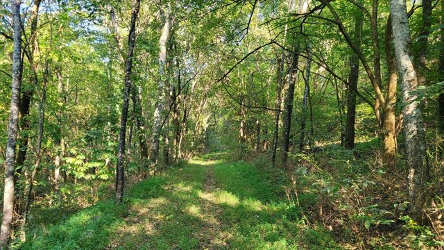 48 Hannah Br Rd, Petersburg, TN 37144