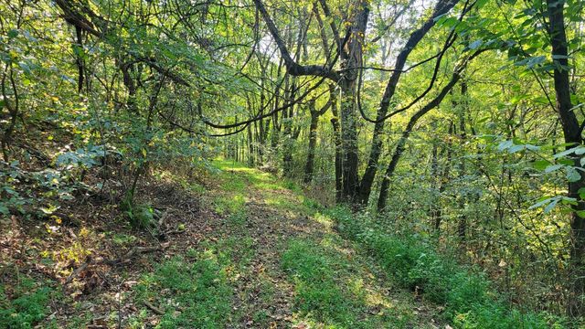 48 Hannah Br Rd, Petersburg, TN 37144