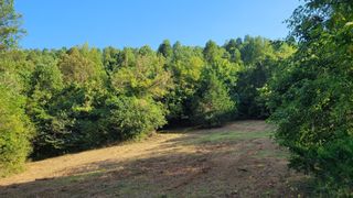 48 Hannah Br Rd, Petersburg, TN 37144