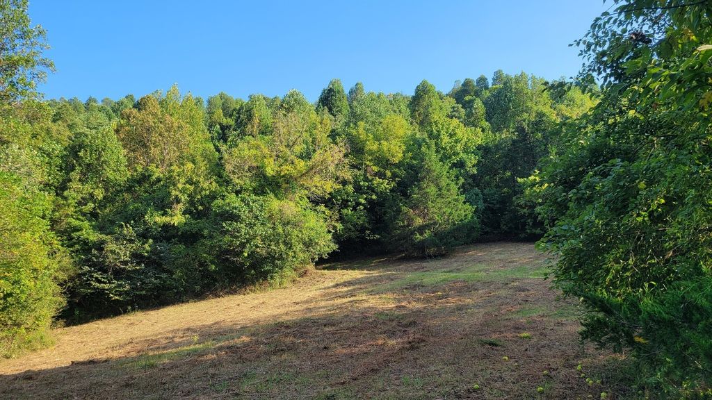 48 Hannah Br Rd, Petersburg, TN 37144