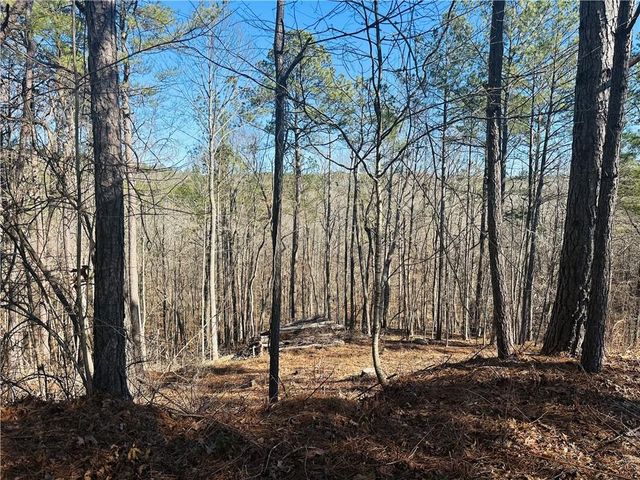 9590 Grande Drive, Winston, GA 30187