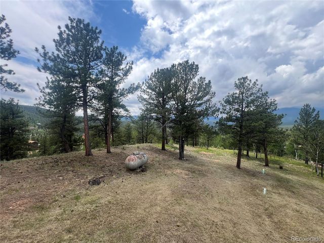 95 Appleby Street, Bailey, CO 80421