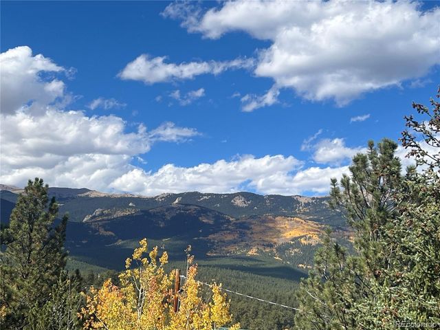 95 Appleby Street, Bailey, CO 80421