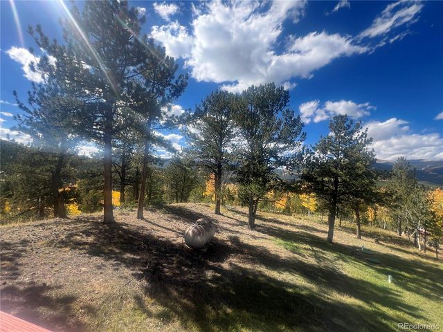 95 Appleby Street, Bailey, CO 80421