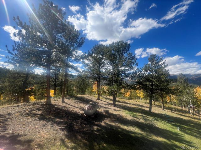 95 Appleby Street, Bailey, CO 80421