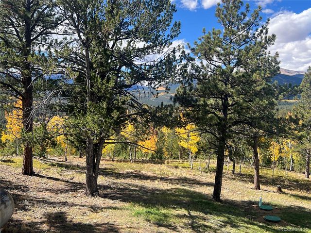 95 Appleby Street, Bailey, CO 80421