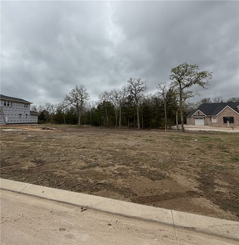 1714 Hidalgo Pass Court, College Station, TX 77845